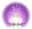 Be the Magic...