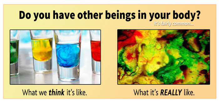 What it's like to have other beings in your body with you.