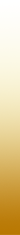gradient-border
