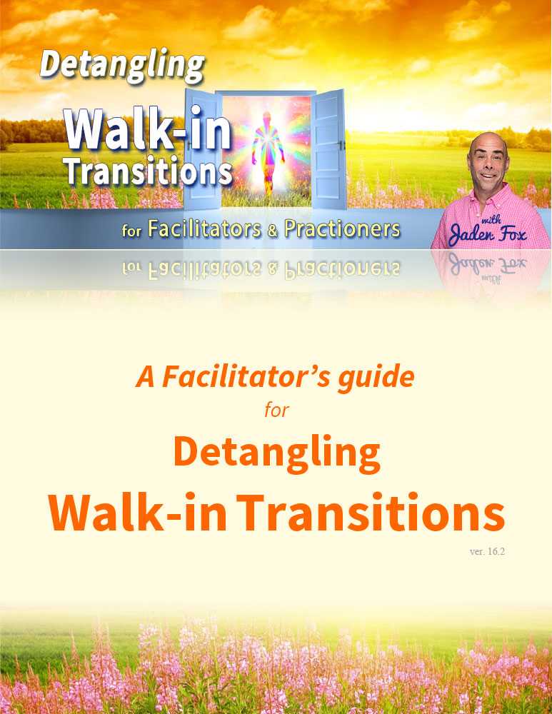 Detangling Walk-In Transitions - Facilitators Program - Image 2