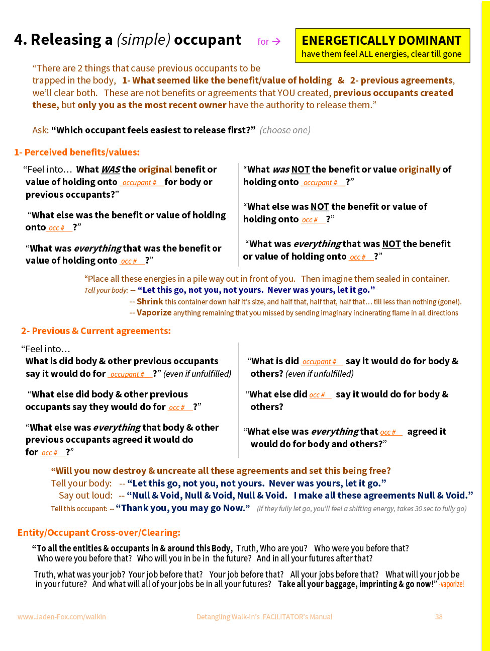 Detangling Walk-In Transitions - Facilitators Program - Image 16