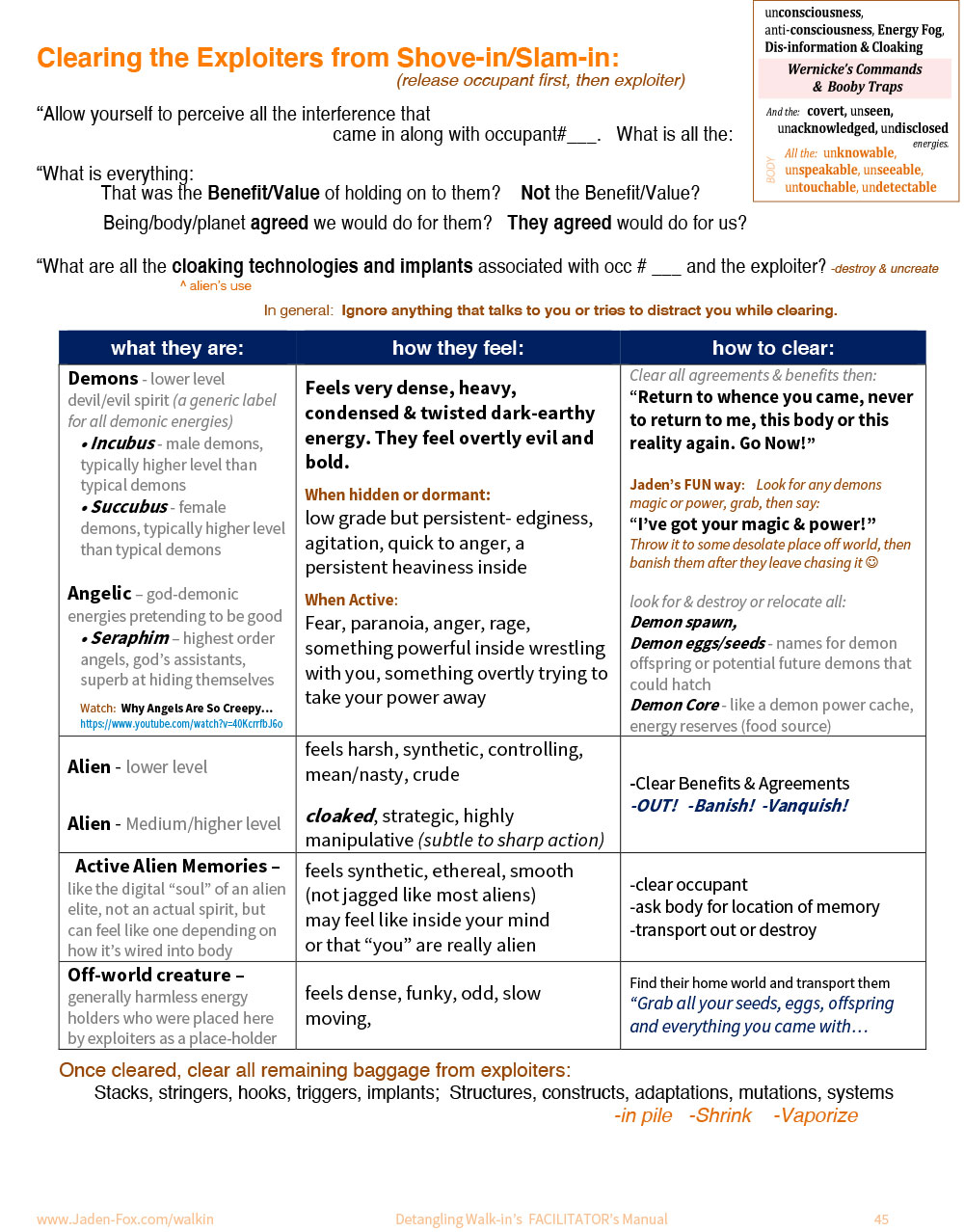 Detangling Walk-In Transitions - Facilitators Program - Image 19
